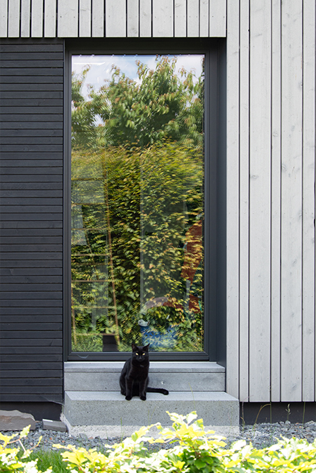 KF31: Außenansicht Holzbau Detail Fenstertür mit Katze
